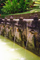 Source d'eau chaude a 40�......