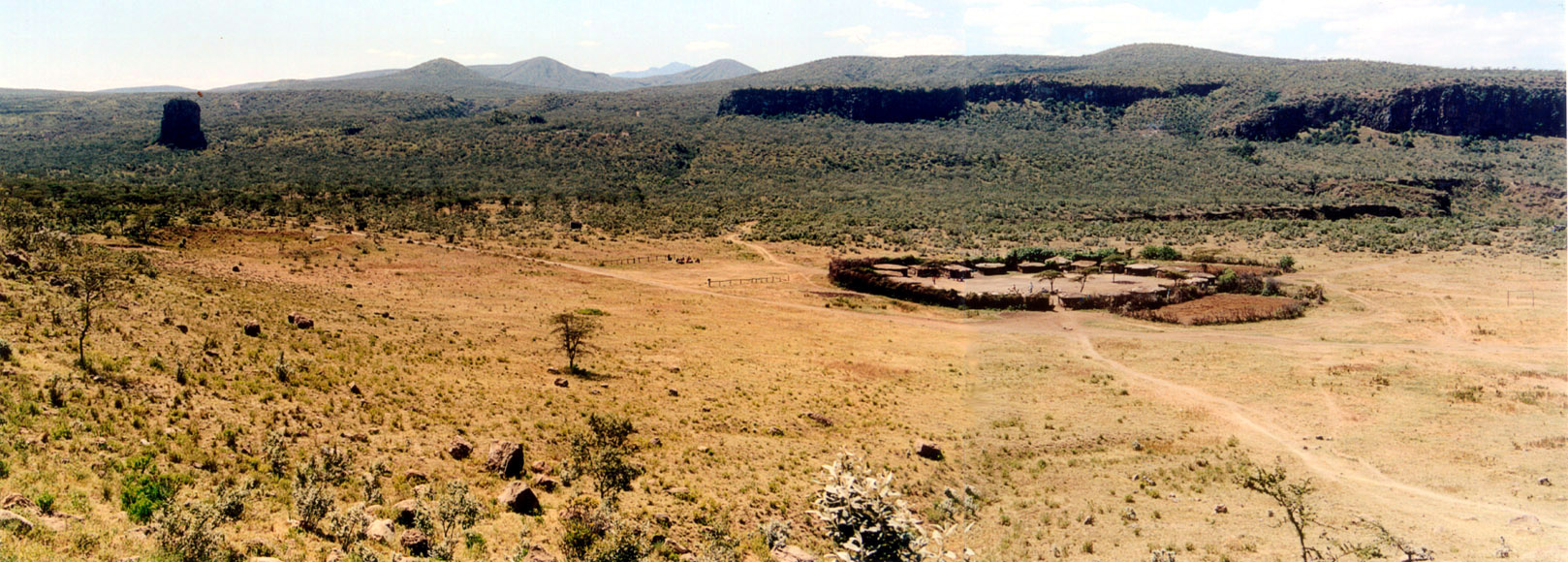 La manyata de loin