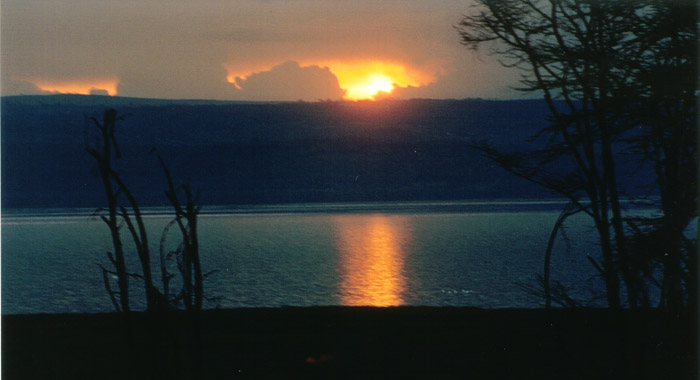 Safari Nakuru son coucher soleil sur le lac