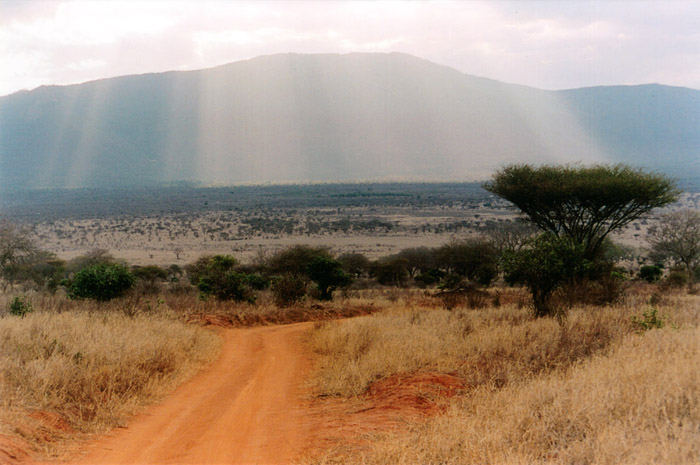 Safari Tsavo c'est beau
