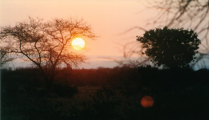Safari Tsavo le soleil couchant