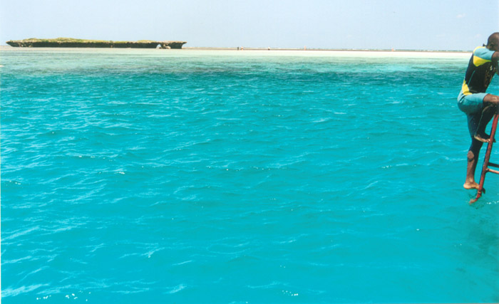 Wasini islands le spot de  plongée