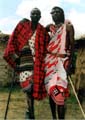 Masai debout