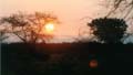Safari Tsavo le soleil couchant