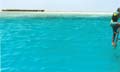 Wasini islands le spot de  plongée