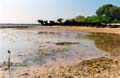 Wasini islands mangrove beach