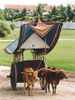 Elles sont pas rigolotes les vaches d'ici ...