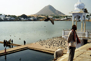 Lac sacr� de Pushkar