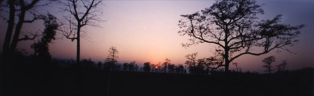 ���hhhh les couchers de soleil dans la jungle...!